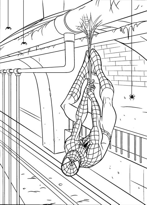 Coloring Pages Spiderman Printable